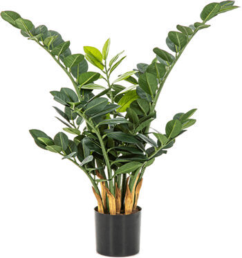 Lifelike artificial plant "Zamioculcas Zamiifolia" Ø 50/ height 66 cm