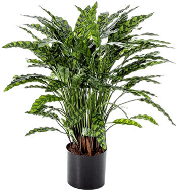 Lifelike artificial plant "Calathea" Ø 75/ height 88 cm