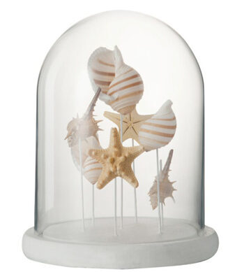 Decorative object "Wild-Shells" Ø 23/ H 28 cm