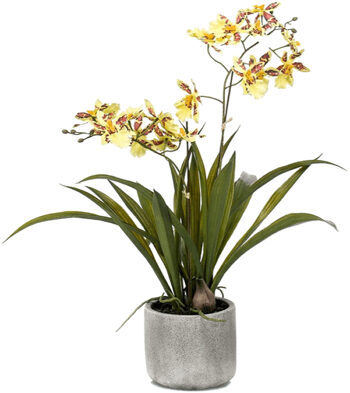 Lifelike artificial plant "Oncidium orchid", yellow/brown, Ø 50/ height 45 cm