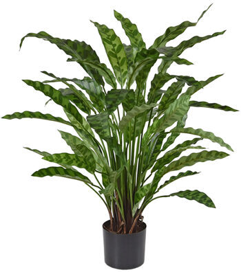 Véritable plante artificielle "Calathéa Léopard", hauteur 60 cm