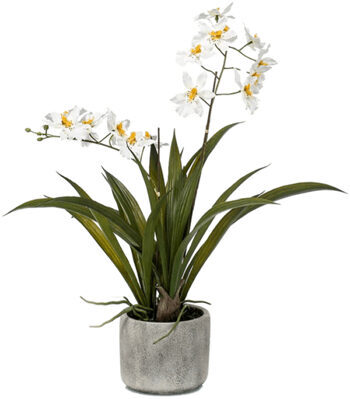 Lifelike artificial plant "Oncidium orchid", white, Ø 50/ height 45 cm