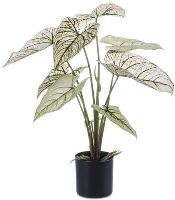Lifelike artificial plant "Caladium" Green/White 60 cm