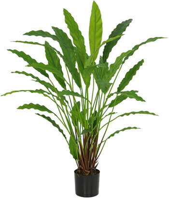 Lifelike artificial plant "Calathea" Ø 60/ height 77 cm