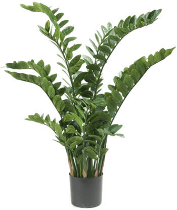 Lebensechte Kunstpflanze „Zamioculcas“ Ø 80/ Höhe 130 cm