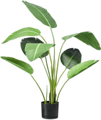 Lebensechte Kunstpflanze „Strelitzia Tuff“ Ø 100/ Höhe 120 cm
