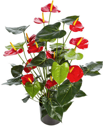 Lebensechte Kunstpflanze „Anthurium Busch Rot“, Ø 45 Höhe 78 cm