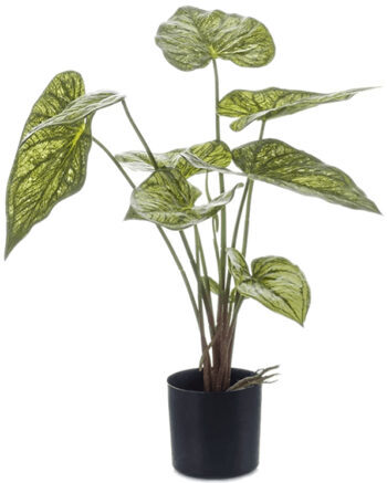 Lebensechte Kunstpflanze „Caladium“ 60 cm